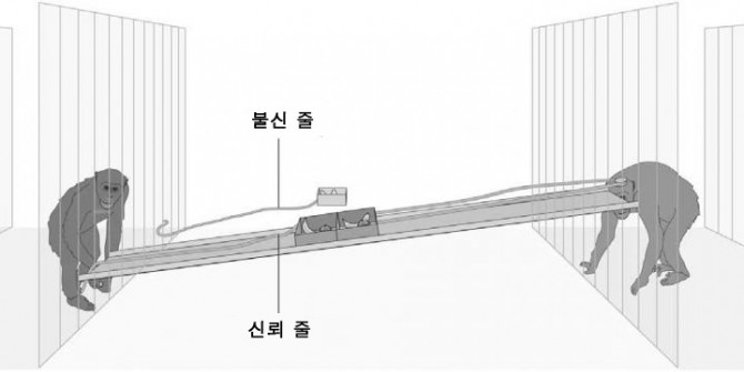 연구팀이 설계한 침팬지 판 ‘신뢰 게임’ 모식도 - 얀 엥겔만 독일 막스플랑크 연구소 연구원 제공
